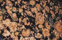 Baltic Brown Granite