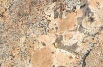 Crema Bordeaux Granite